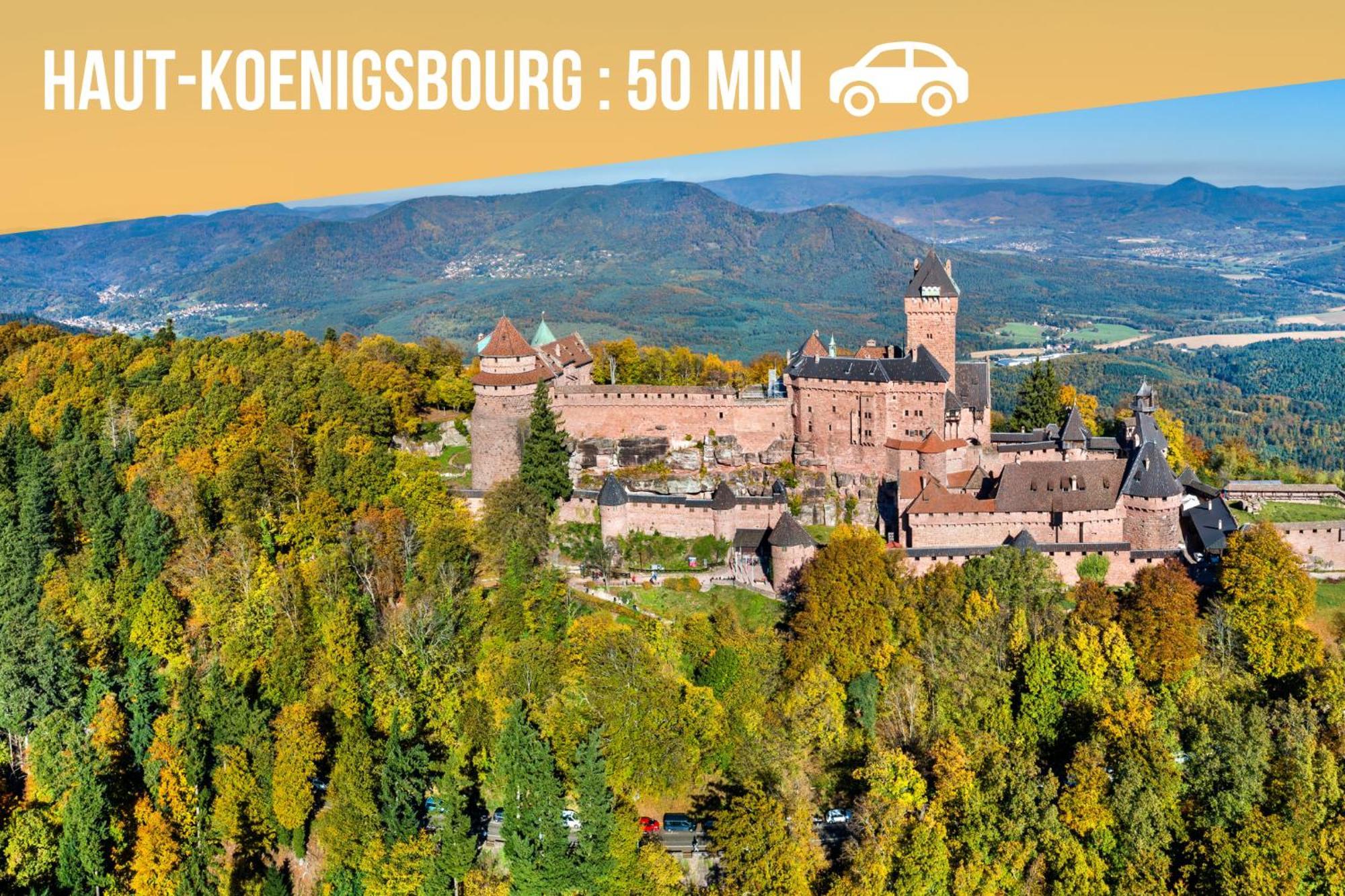 Lit Rond Tres Grand Et Confortable - Garage Possible Ou Parking Gratuit Rue - Gare 2 Min Et Ville 4 Min En Tram - Ciel Etoile - Netflix Videoprojecteur - Luxe Et Evasion Strasbourg Exterior photo