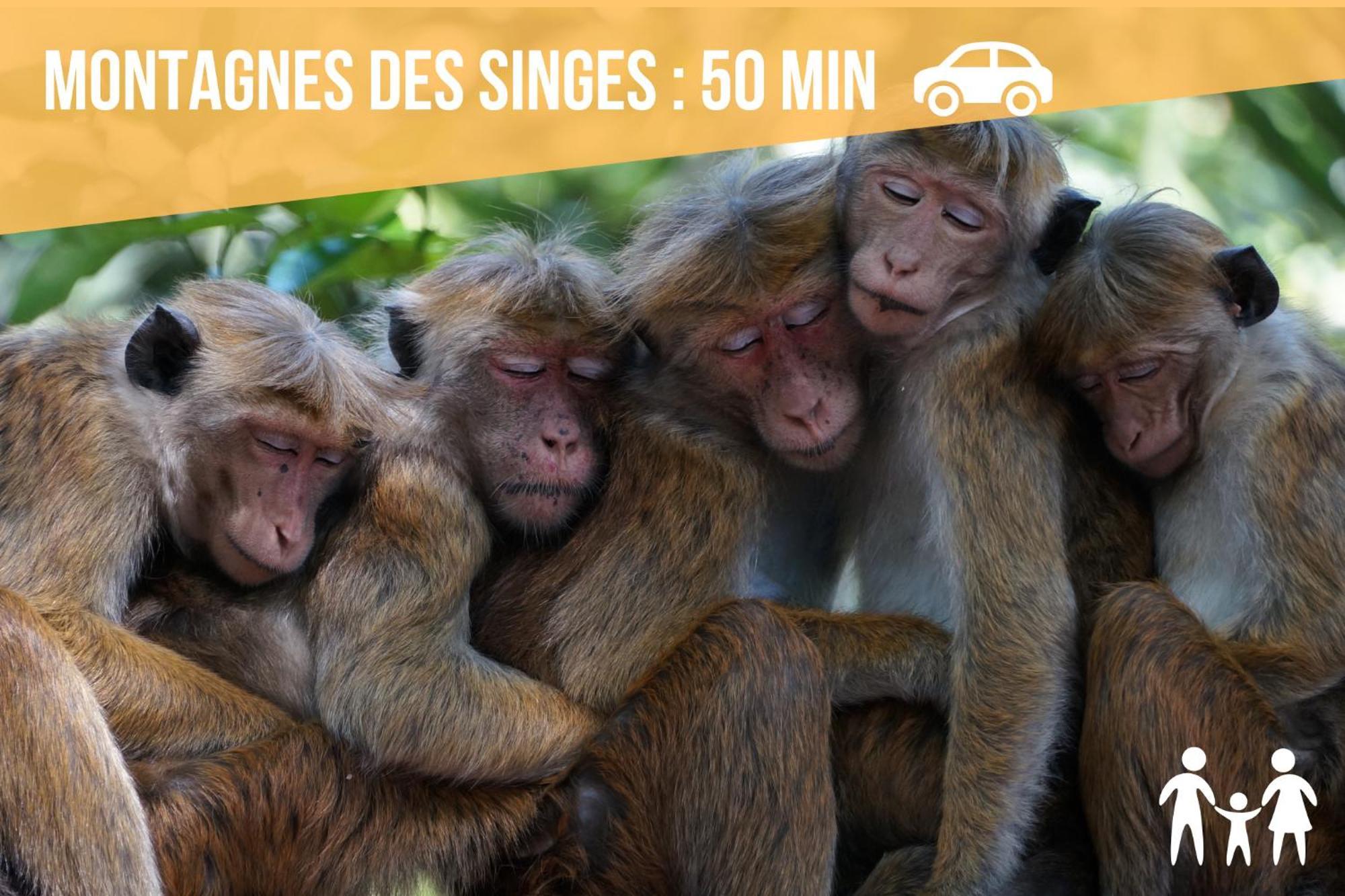 Lit Rond Tres Grand Et Confortable - Garage Possible Ou Parking Gratuit Rue - Gare 2 Min Et Ville 4 Min En Tram - Ciel Etoile - Netflix Videoprojecteur - Luxe Et Evasion Strasbourg Exterior photo